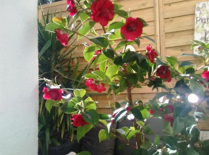 Glamorgan אנטיב