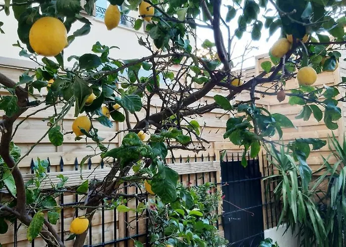 Glamorgan Vandrerhjem *